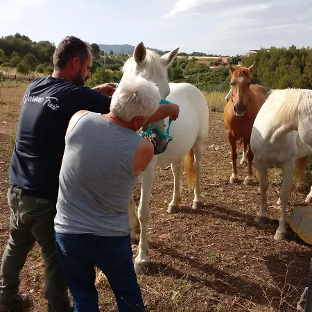 Camping Columbia מלון *
