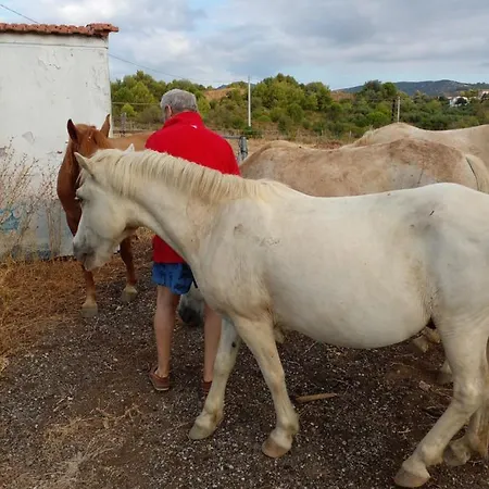 Camping Columbia Montegiordano