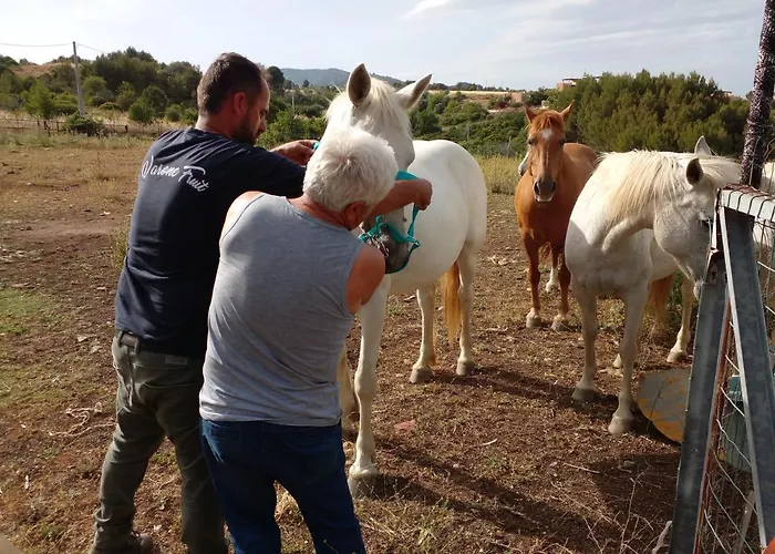 Camping Columbia מלון *